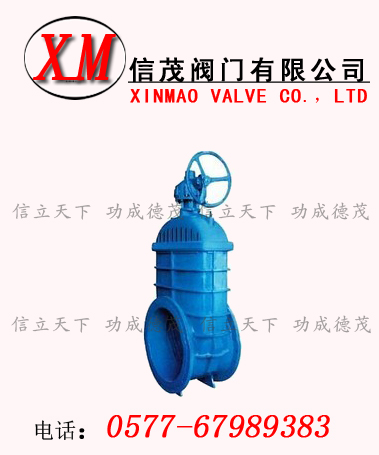 大口徑彈性座封閘閥